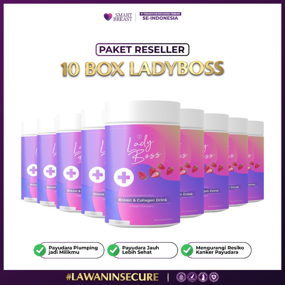 Paket Usaha Reseller Smart Breast - 10 Box Lady Boss