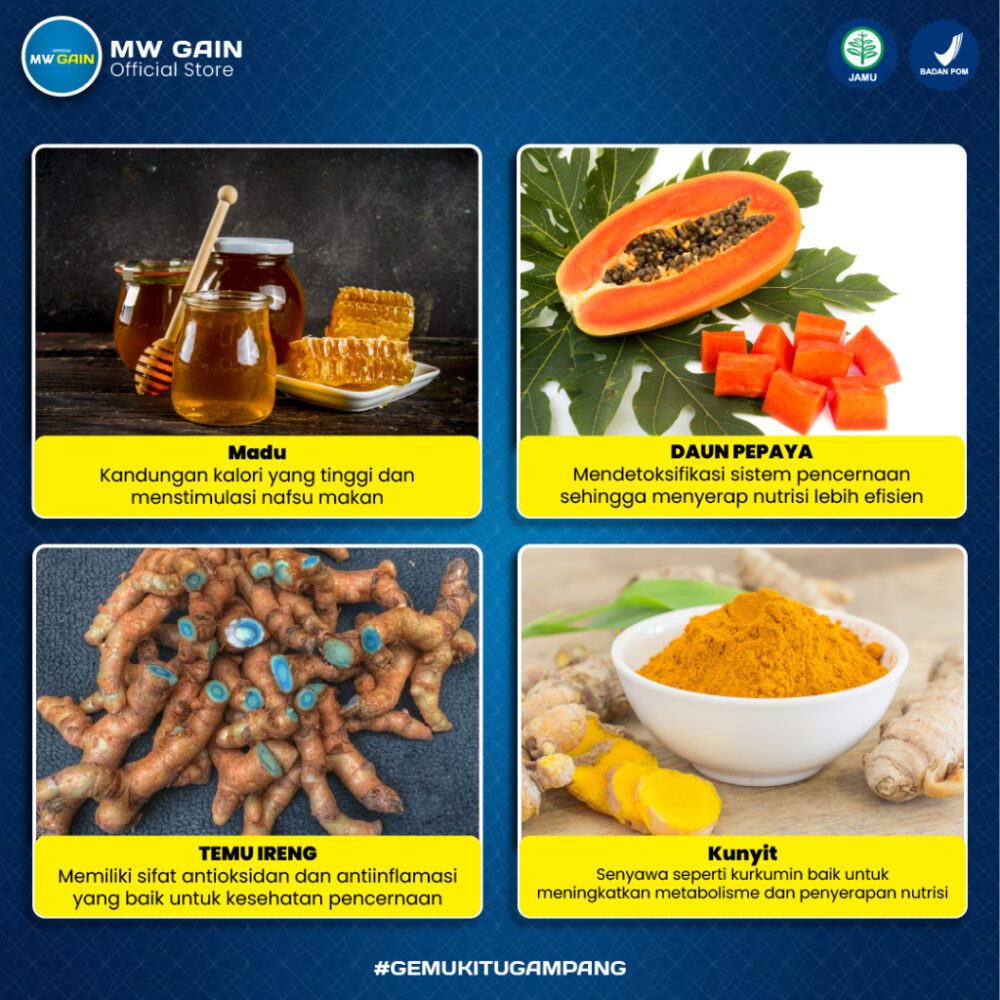 Master Weight Gain - Paket Gold [MWG isi 50 kapsul + MWG Plus] - Gambar 4